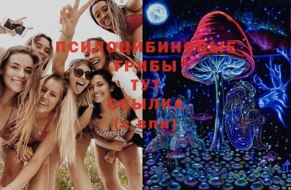 трава Алексин