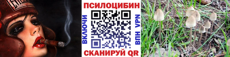 hydra Кочубеевское Псилоцибиновые грибы Cubensis